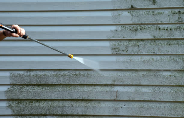 Pressure Washing Services for Businesses in Ionia, MI