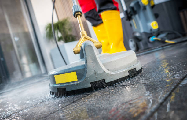 Best Pressure Washing Near Me  in Ionia, MI