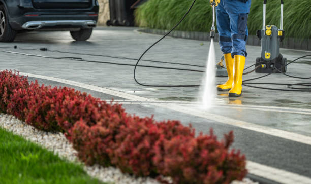 Professional Pressure Washing in Ionia, MI