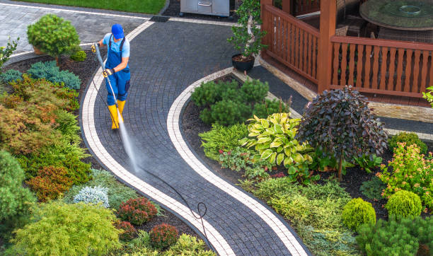 Best Deck Pressure Washing  in Ionia, MI